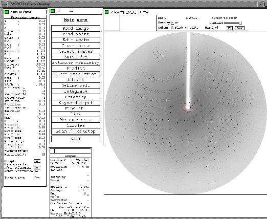 \resizebox {100mm}{!}{\includegraphics{mosflmGUI.eps}}